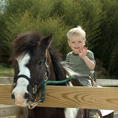 Boy riding Horse